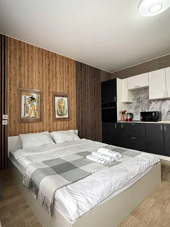 Уютная студия в спальном районе