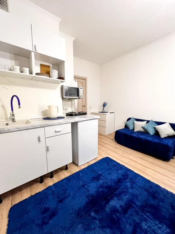 Уютная студия в Девяткино