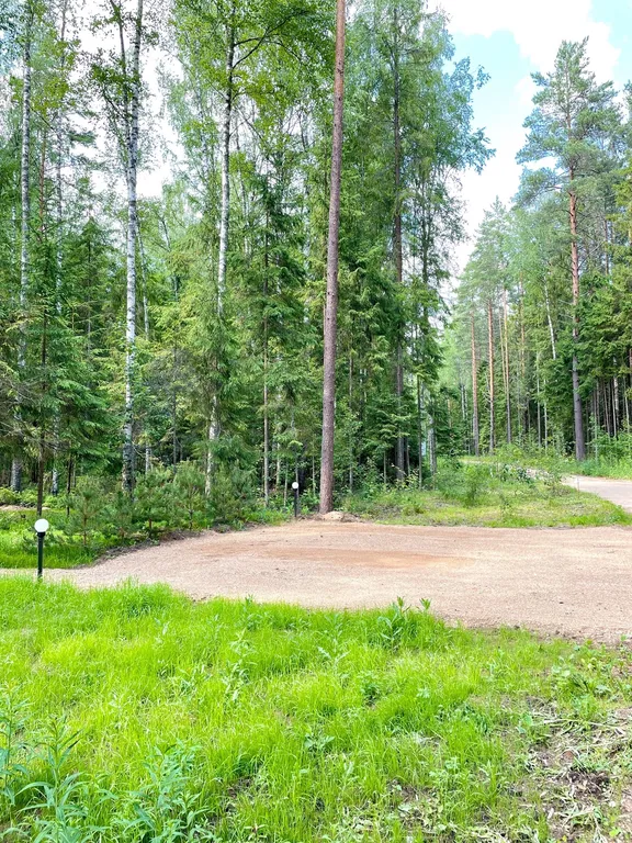 Коттедж Домик в лесу у озера для семейного отдыха — Турбаза Чайка