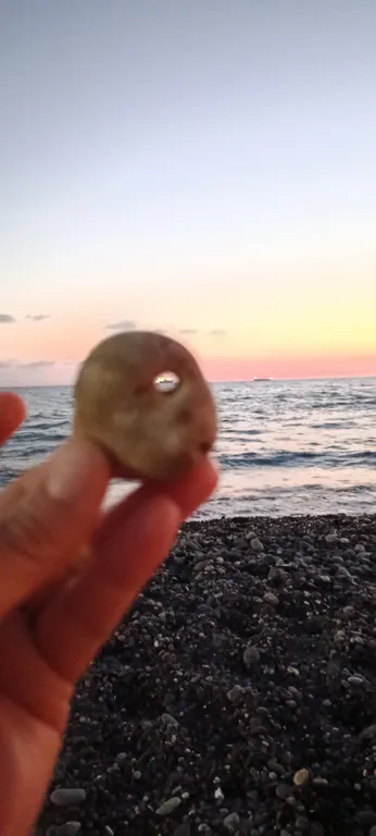 Двухкомнатные апартаменты на берегу моря