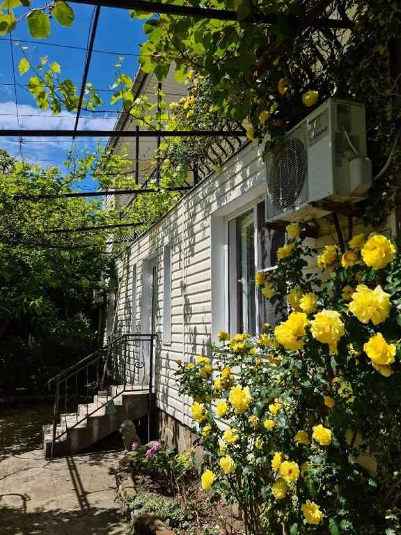 Коттедж Дом с двумя комнатами и кухней — Сочи