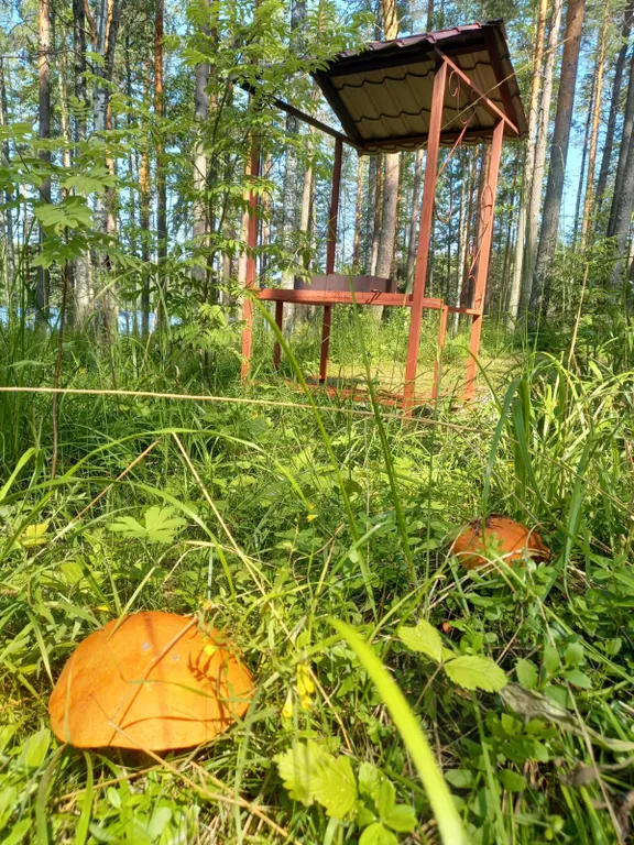 Уютный коттедж у озера