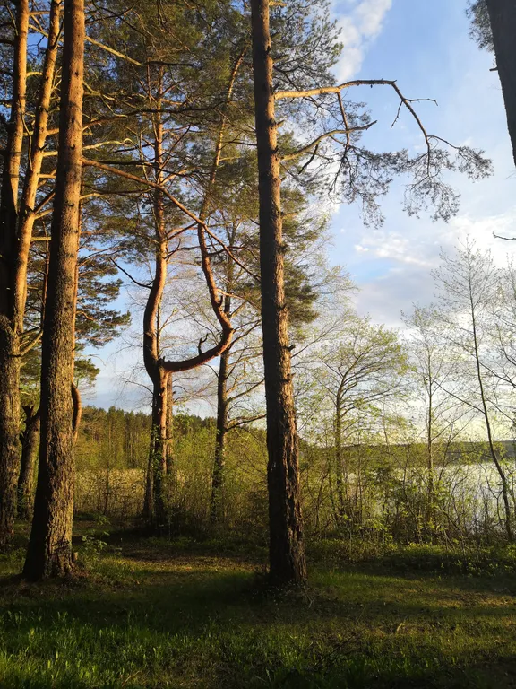 Дом на Селигере