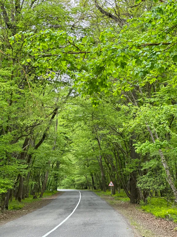 Домик у моря