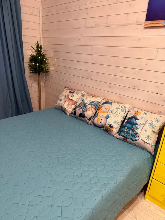 Домик рядом с Невой