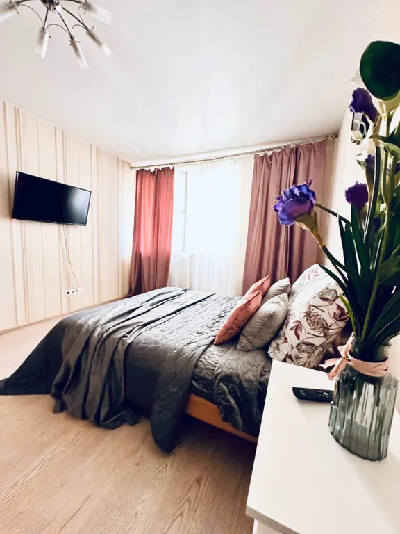 Просторная квартира в центре