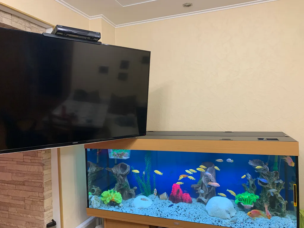 Апартаменты с аквариумом и видом на парк