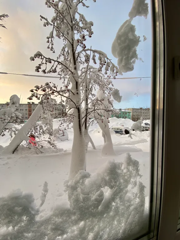 ЛЕНИНГРАД 20