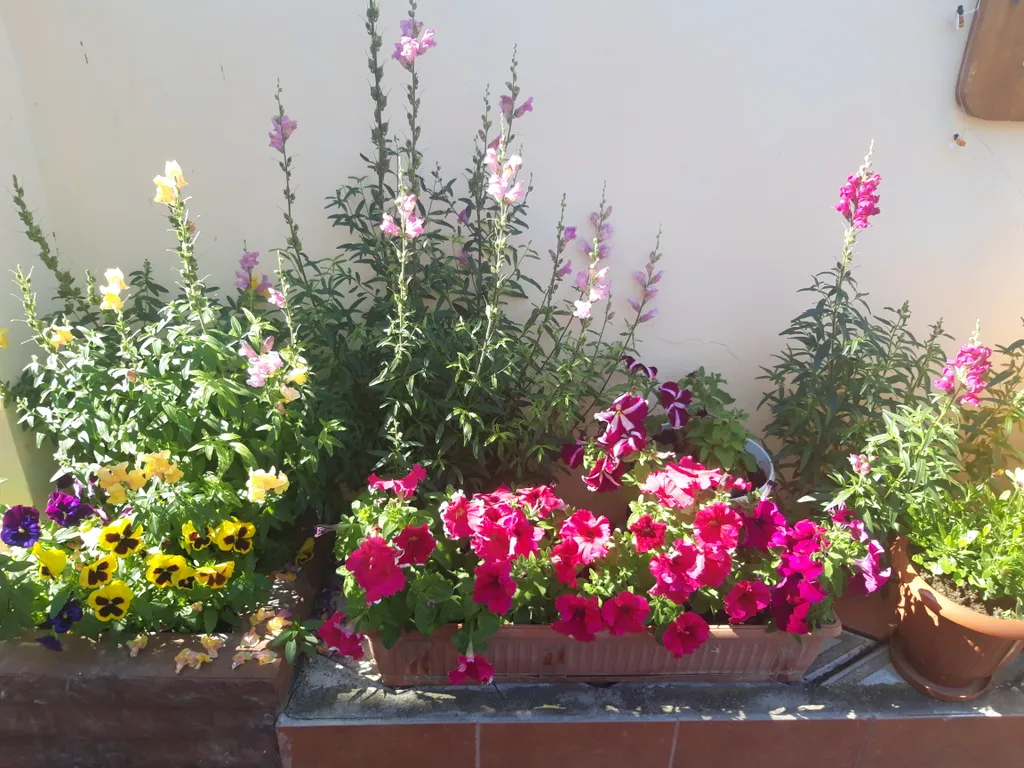 Комфортабельные апартаменты