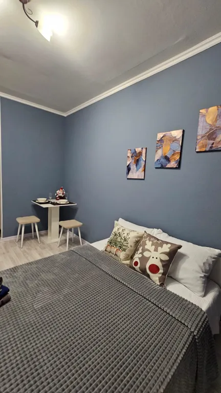 Уютная студия в центре