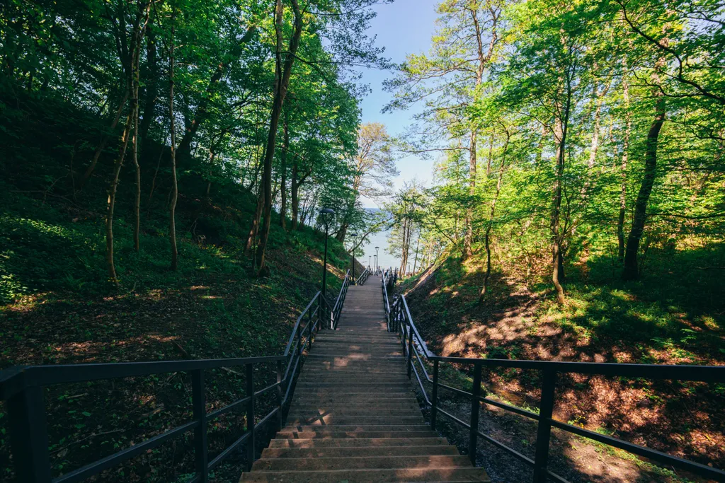 Квартира Апартаменты в парковой зоне — Светлогорск