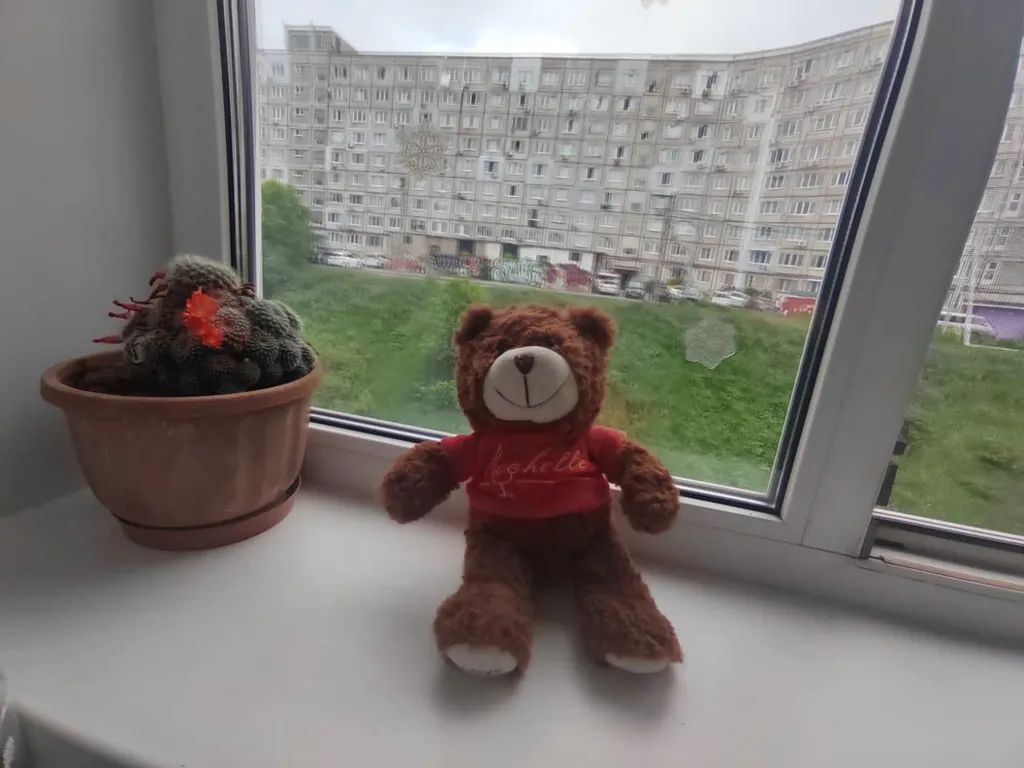 Студия рядом авторынок Зелёный угол