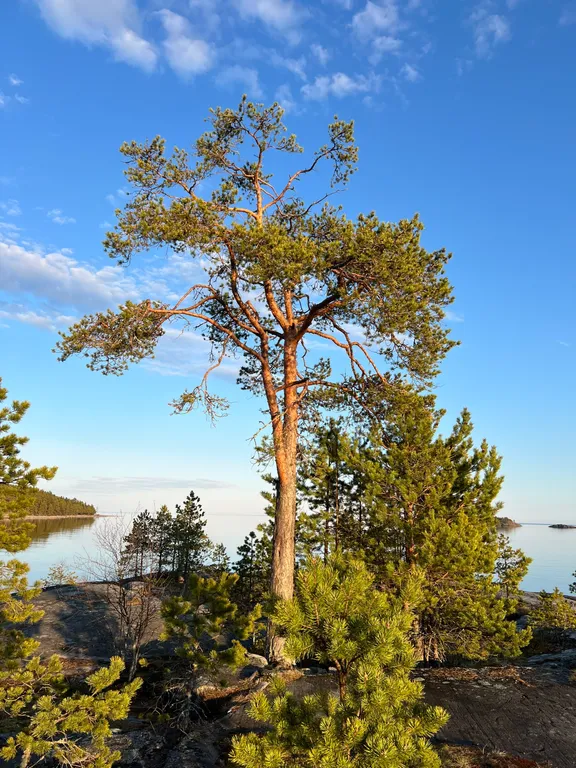 Гостевой дом в бухте Терву
