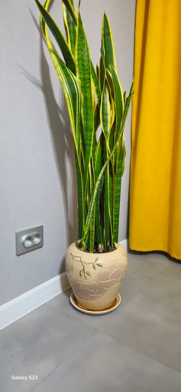 Стильная квартира с дизайнерским ремонтом