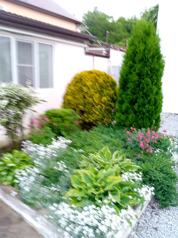 Коттедж Дом в лесной зоне у моря — Геленджик