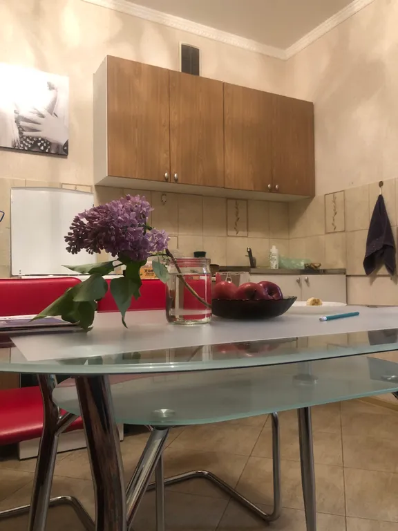Хорошая однушка рядом с аквапарком