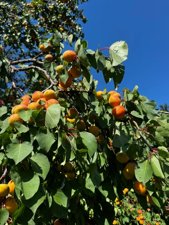 Домик с террасой и своей территорией