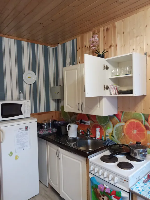 Дом в Карелии с печью-камином и видом на лес