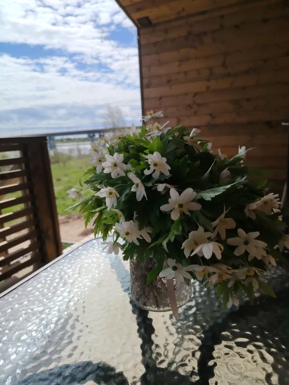 Уютный дом с баней и бассейном на берегу реки Волхов