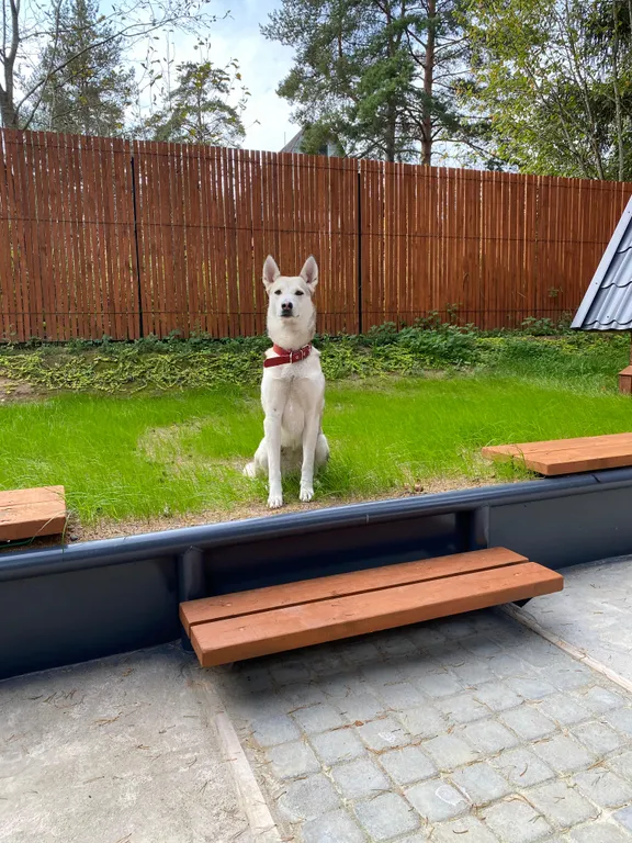 Коттедж Коттедж Шапкинские высоты — Тосно