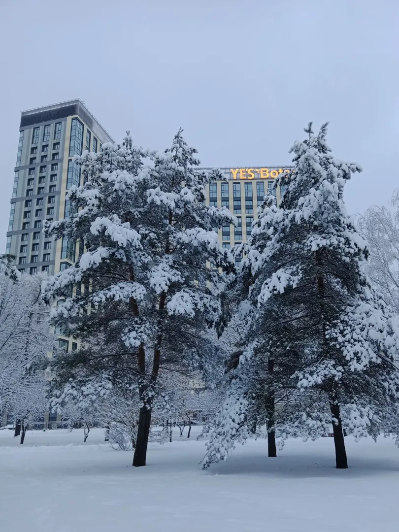 Вид на апарт-отель зимой