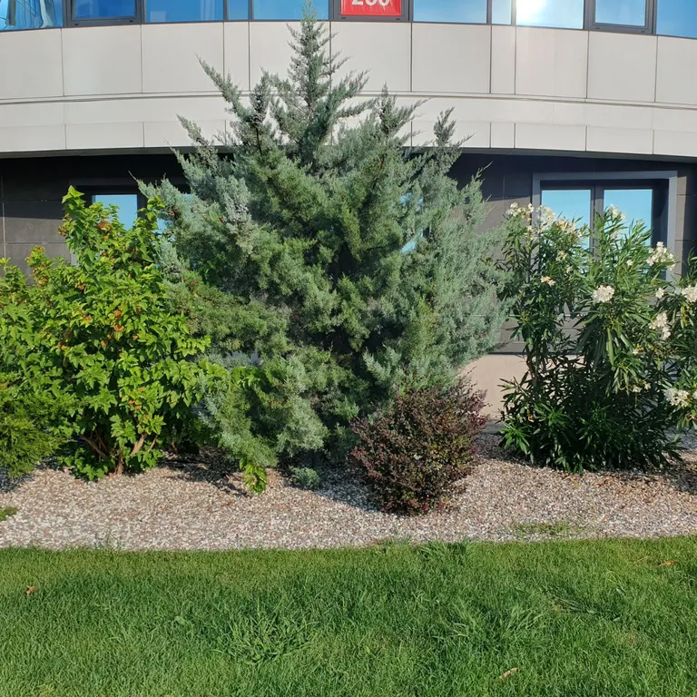 Новая дизайн студия в морской симфонии