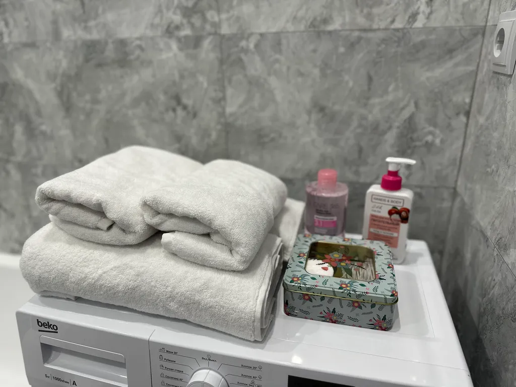 Апартаменты Миллениум парк 2