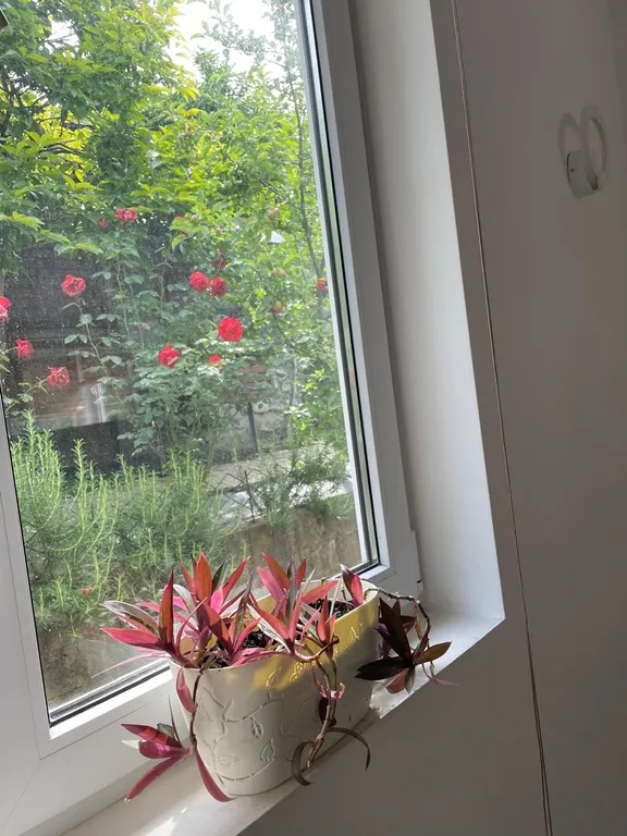 Дом для комфортного проживания