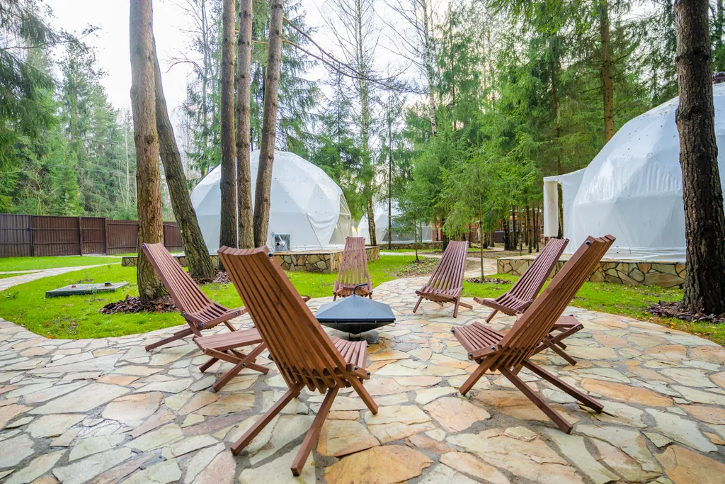 Сфера в сосновом лесу