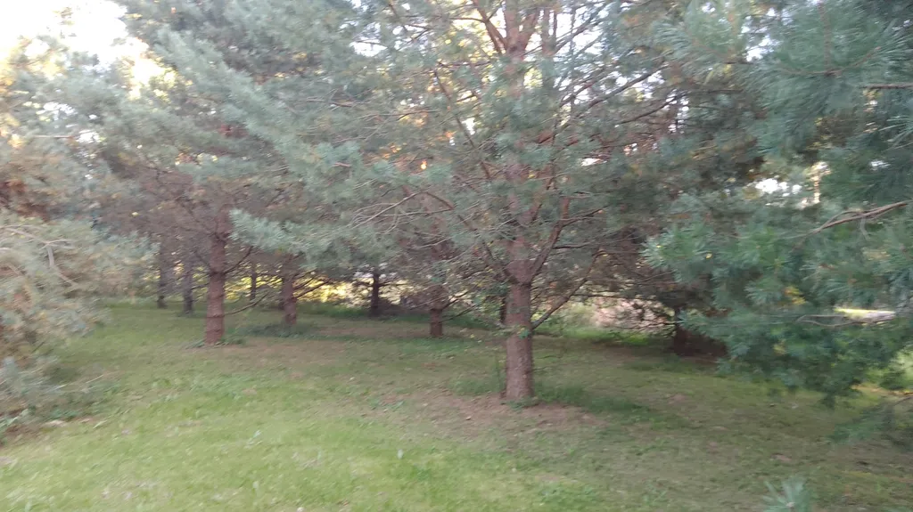 Уютный Таунхаус Хитрый лис