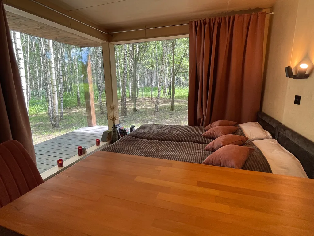 Самый уютный дом с панорамным остеклением в березовом лесу