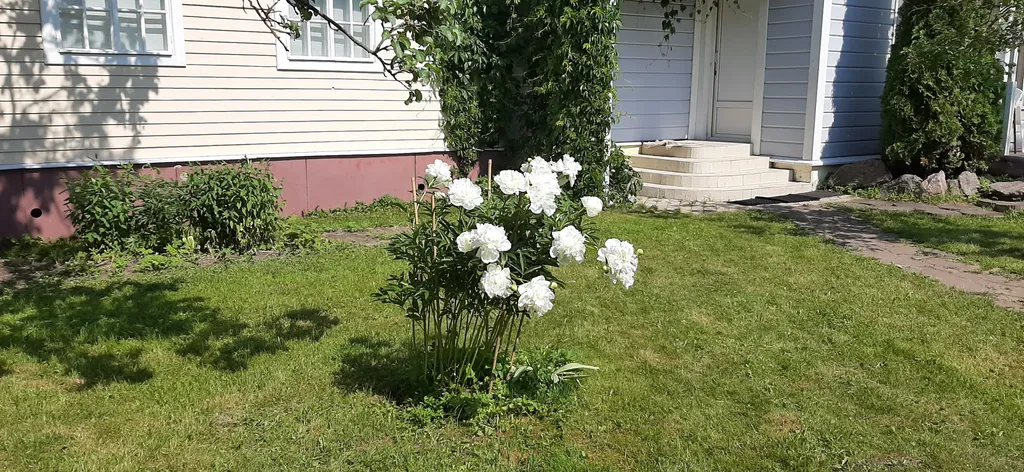 Загородный дом в черте города с русской баней