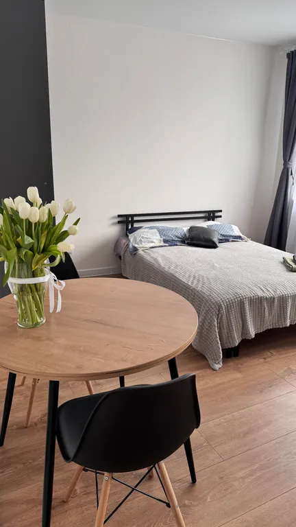 Квартира Бoльшая кваpтира-студия — аренда посуточно в Мурино