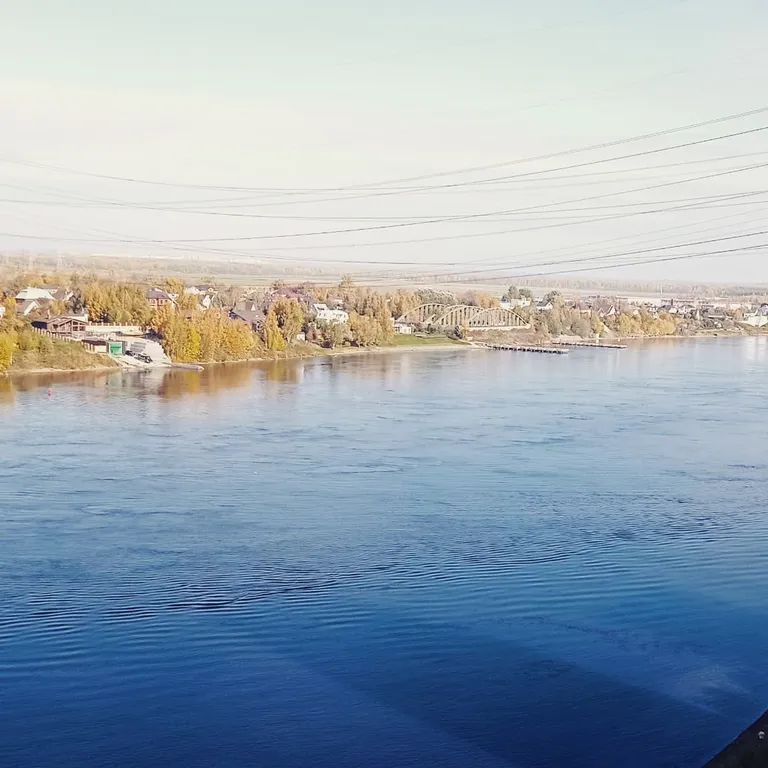 На Невских берегах