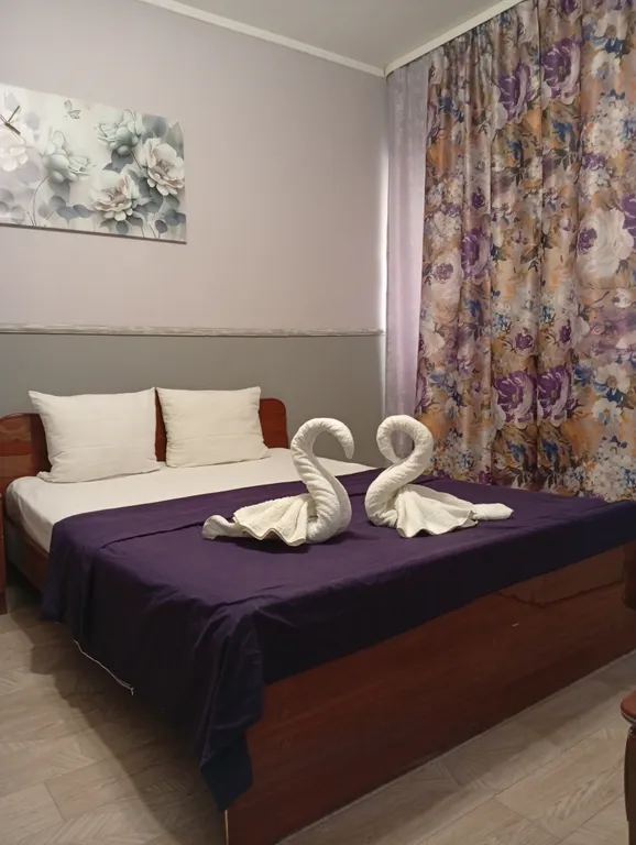 Квартира с одной двуспальной или 2 односпальными кроватями и доп спальным мест — аренда посуточно в Адлер