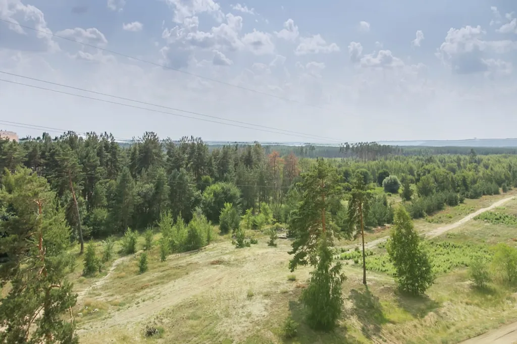 Студия возле полигона Погоново и Масловки