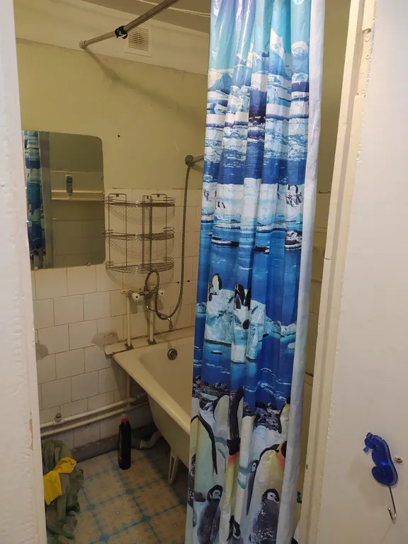 Уютная квартира в Ветлужанке