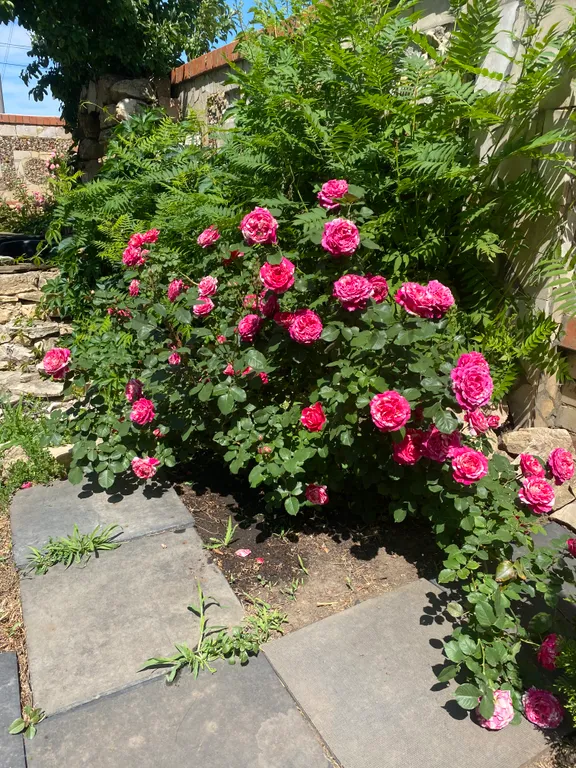 Уютный дом за городом