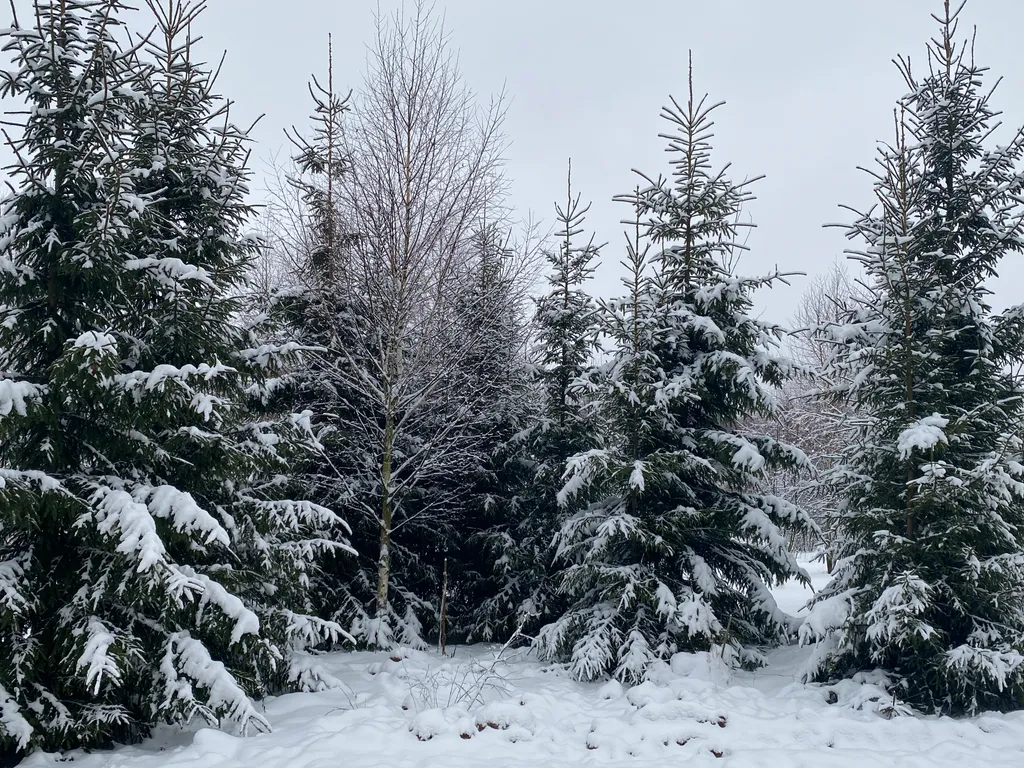 Коттедж с панорамными окнами Куско на Истринском водохранилище