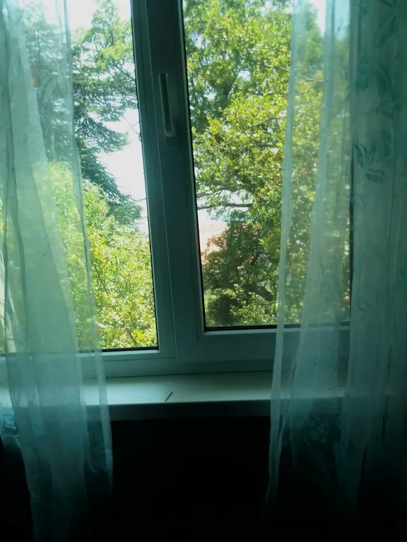 Бюджетный номер