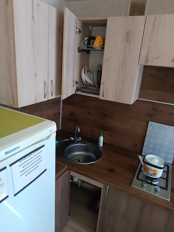 Квартира в парке имени Пушкина