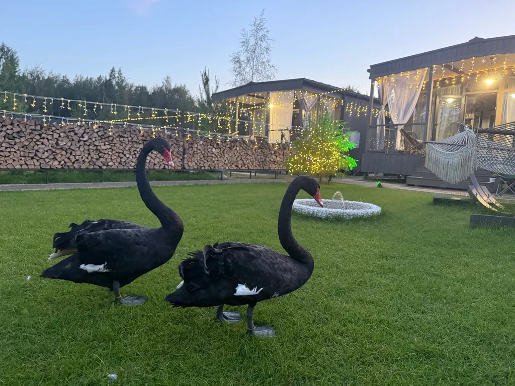 Коттедж Уютный домик с птичками в 20 минутах от Петербурга — аренда посуточно в Сестрорецк