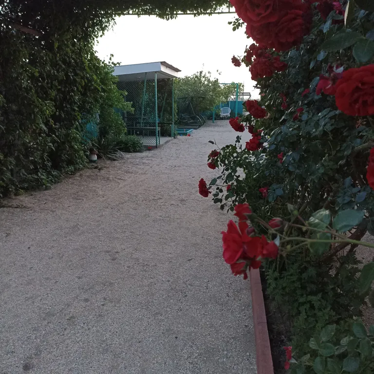 Уютный отдых