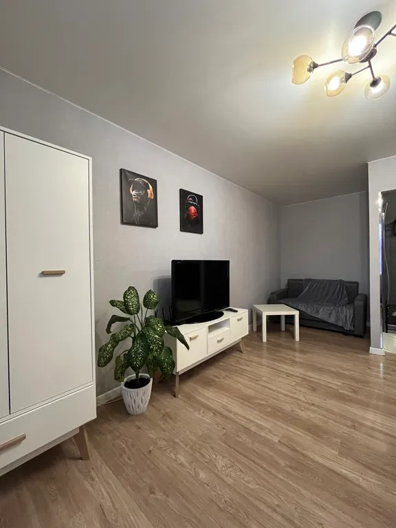 Шикарная квартира у пруда