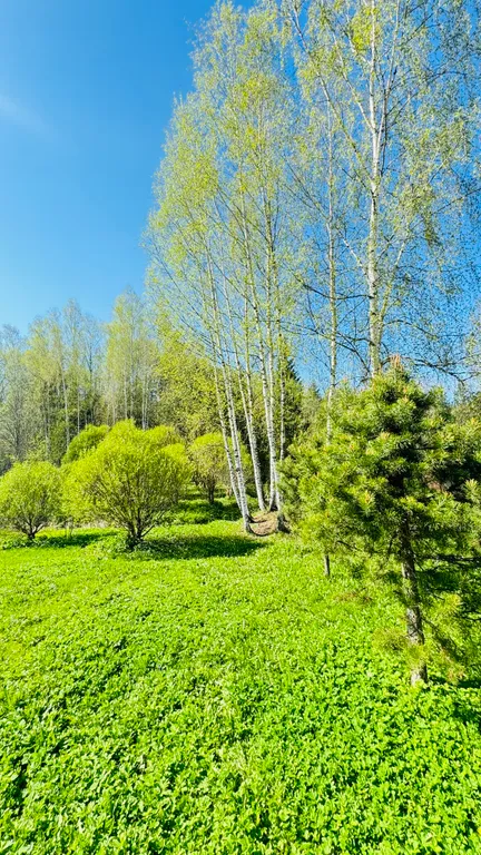 Семейный уютный домик