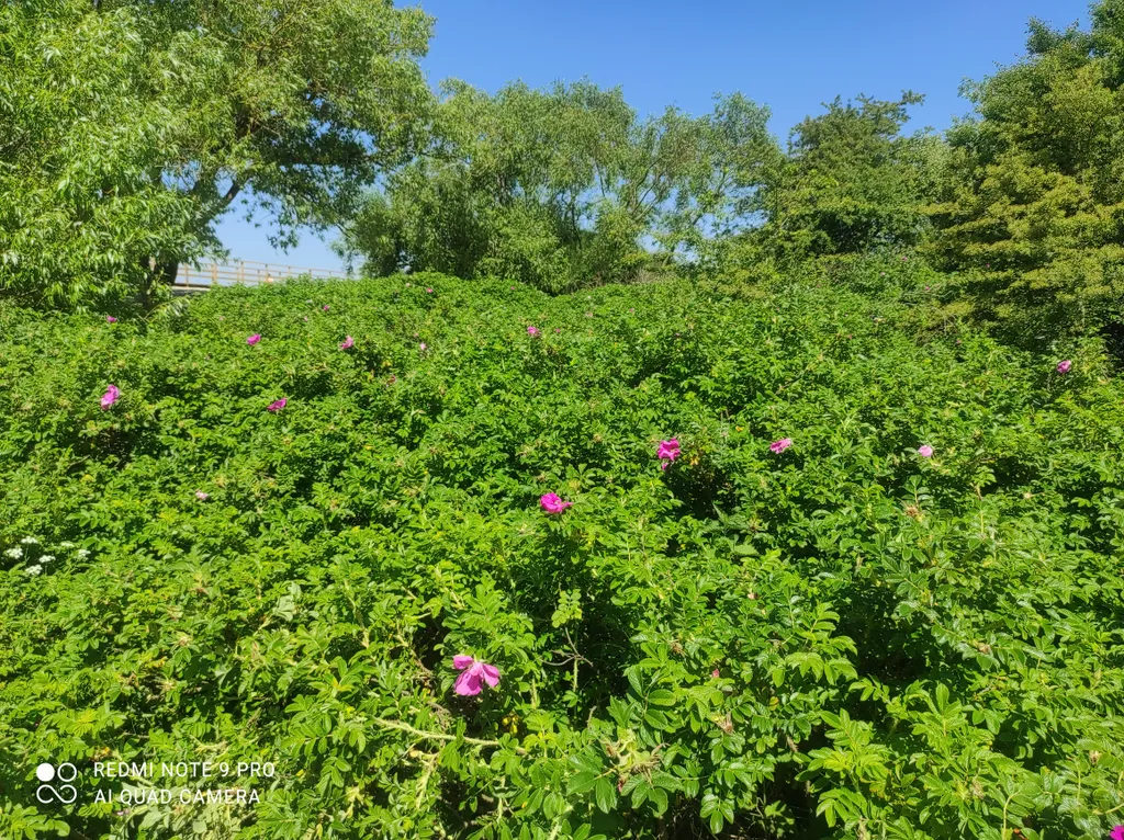 Апартаменты на 1 линии у моря с видом на музейную аллею и планетарий