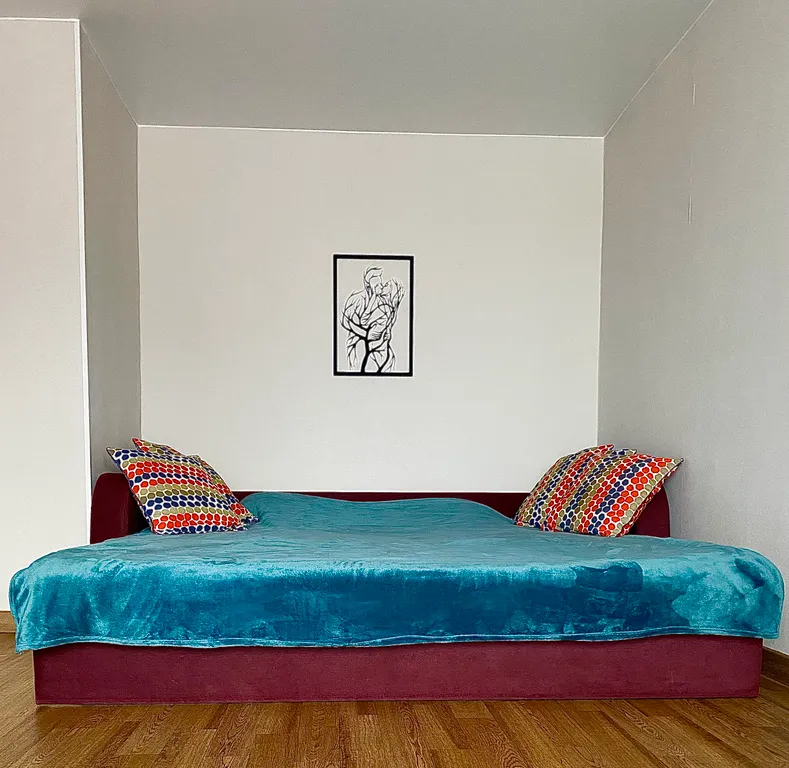 Уютная однокомнатная квартира в центре города