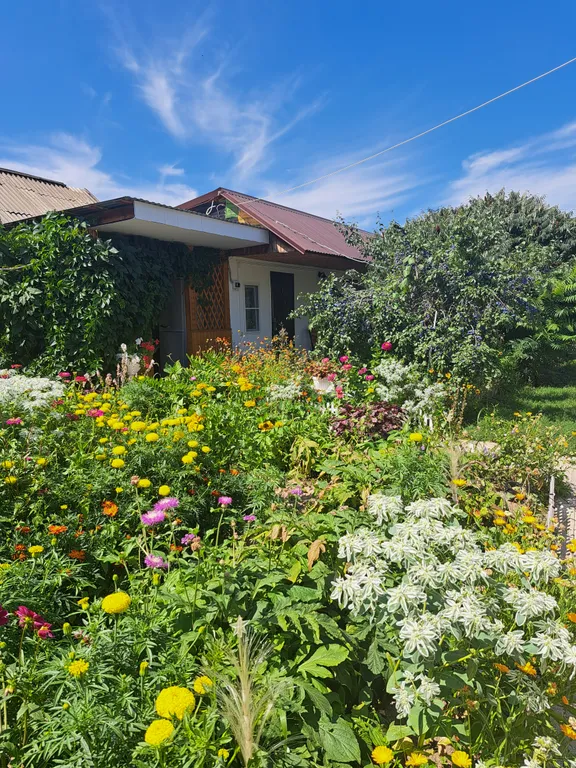 Семейный номер