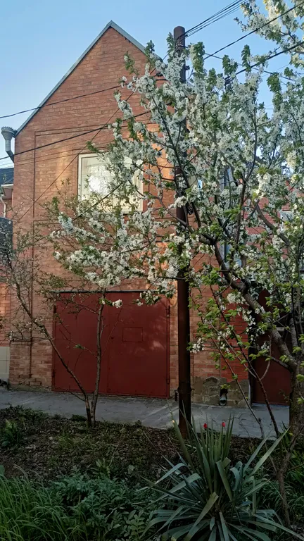 Коттедж с мангалом