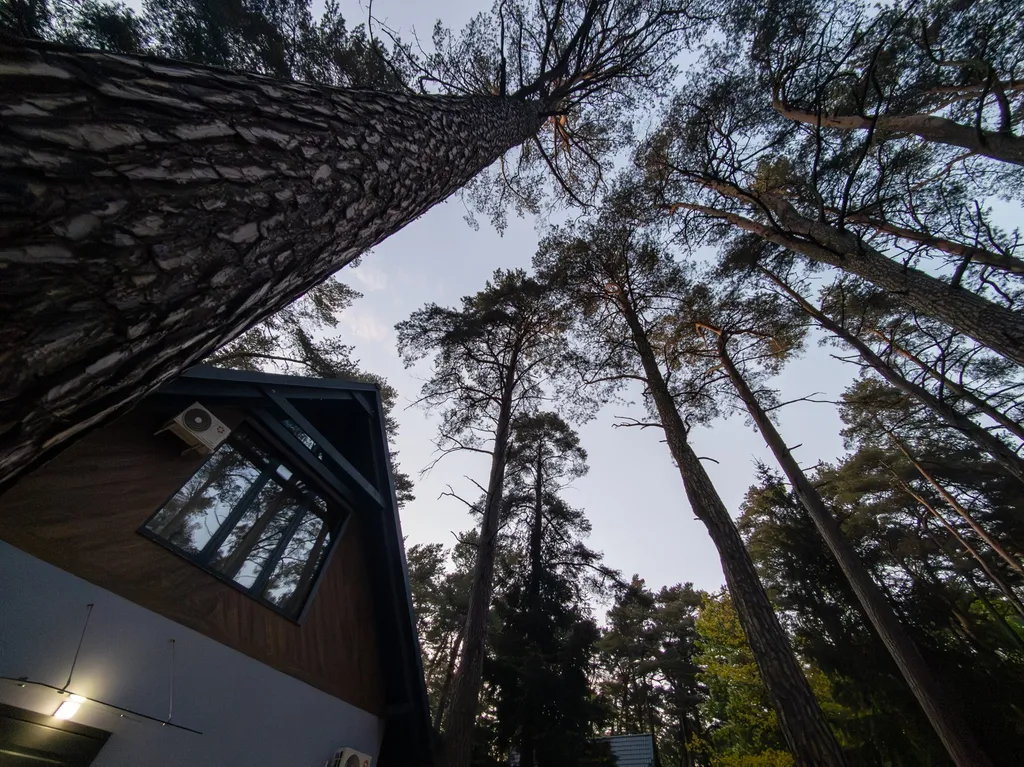 Новые двухуровневые апартаменты в центре Светлогорска